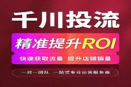百度优化推广案例：打造行业领先品牌